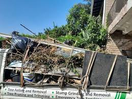 Best Scrap Metal Removal  in Paradise Valley, AZ